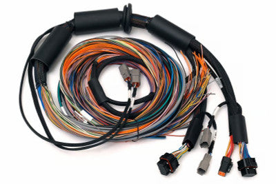 Haltech Nexus R3 VCU + Universal Wire-in Harness Kit - 2.5m (8ft)