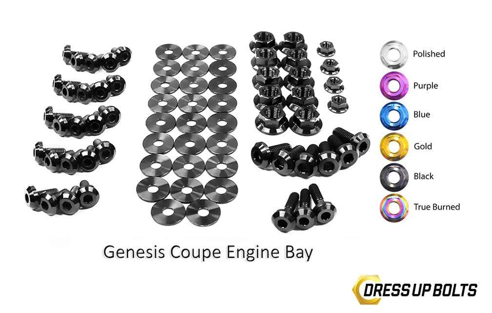 Hyundai Genesis Coupe (2009-2016) BK Titanium Dress Up Bolts Full Engine Bay Kit - DressUpBolts.com