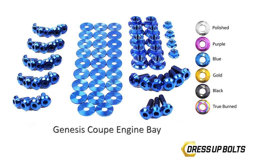 Hyundai Genesis Coupe (2009-2016) BK Titanium Dress Up Bolts Full Engine Bay Kit - DressUpBolts.com