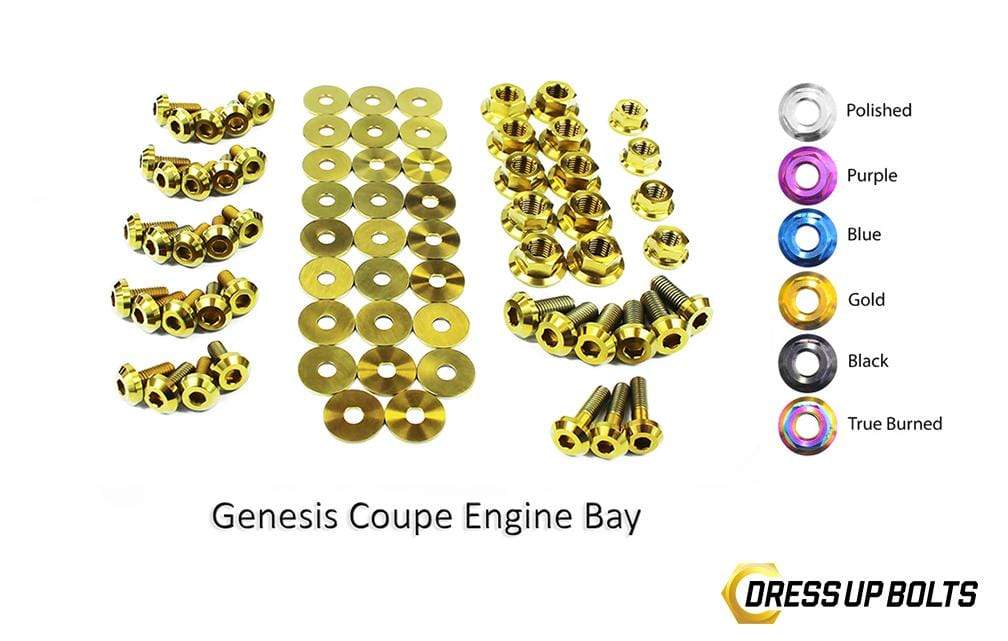 Hyundai Genesis Coupe (2009-2016) BK Titanium Dress Up Bolts Full Engine Bay Kit - DressUpBolts.com