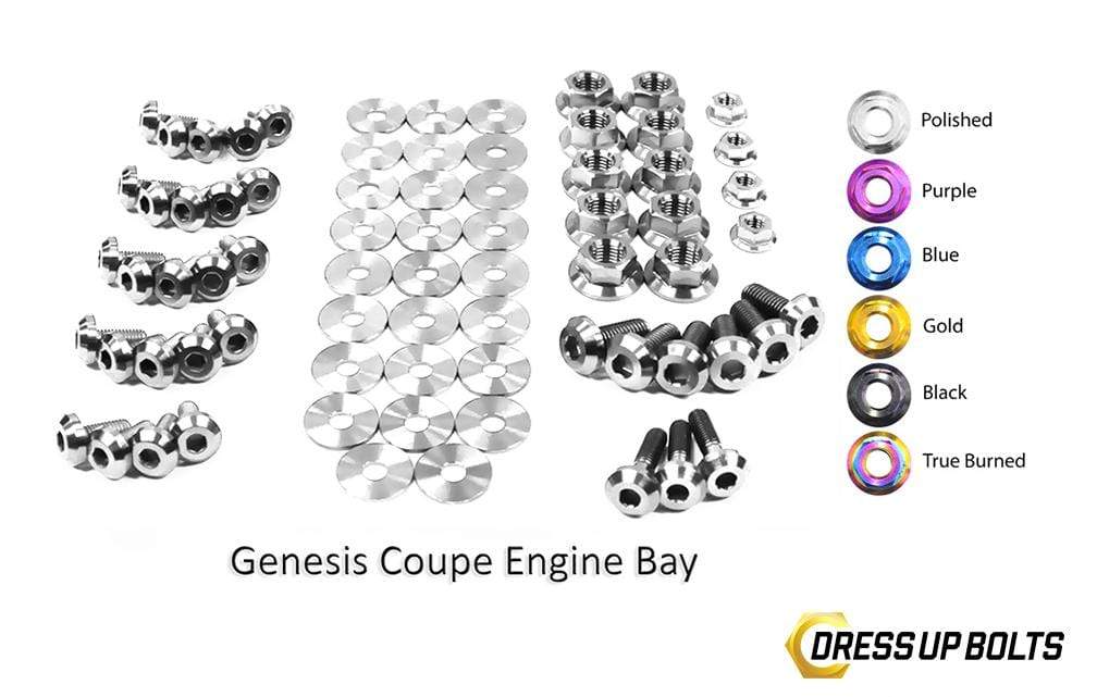 Hyundai Genesis Coupe (2009-2016) BK Titanium Dress Up Bolts Full Engine Bay Kit - DressUpBolts.com