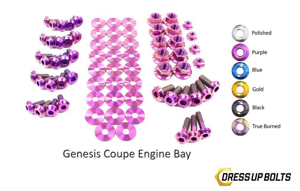 Hyundai Genesis Coupe (2009-2016) BK Titanium Dress Up Bolts Full Engine Bay Kit - DressUpBolts.com