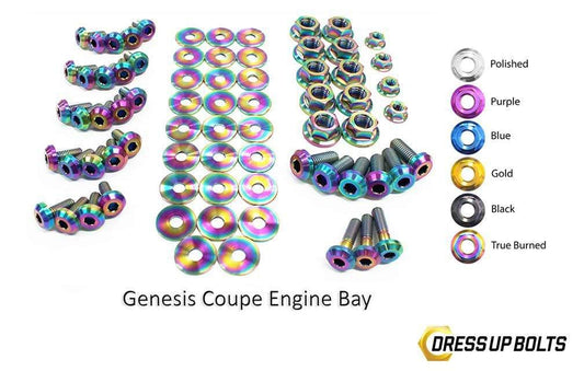 Hyundai Genesis Coupe (2009-2016) BK Titanium Dress Up Bolts Full Engine Bay Kit - DressUpBolts.com