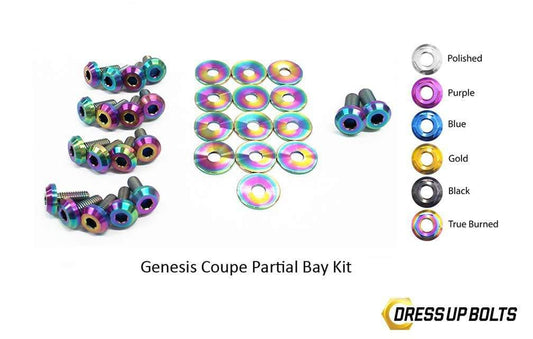 Hyundai Genesis Coupe (2009-2016) BK Titanium Dress Up Bolts Partial Engine Bay Kit - DressUpBolts.com