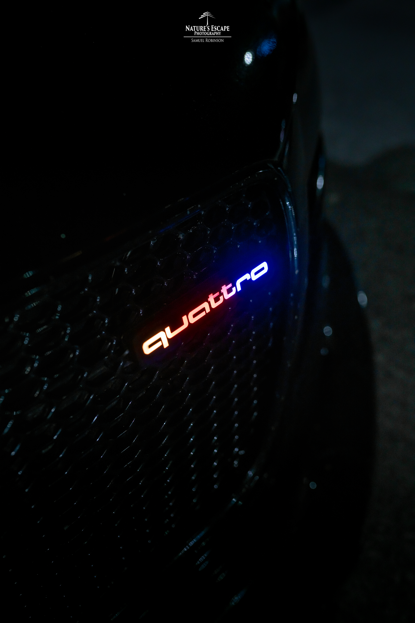 Lit Logos Quattro Badge