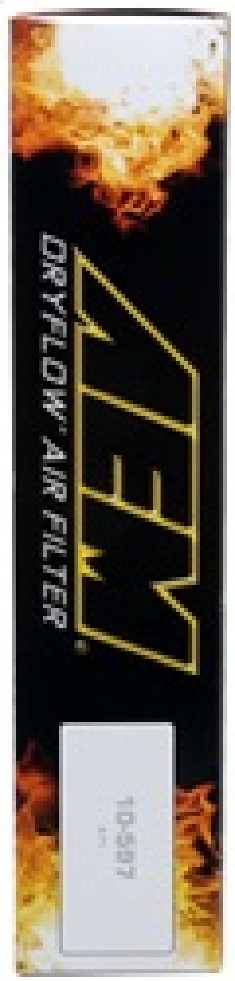 AEM 08-14 WRX / 08-21 STI / 08-13 FXT DryFlow Air Filter